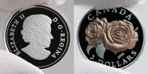 Photo of a Canadian 2016 $3 Queen Elizabeth Rose Silver Coin