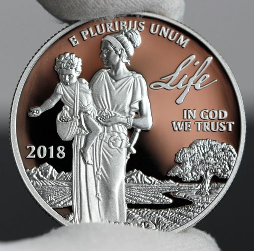 Photo of 2018-W Proof American Platinum Eagle - Obverse, Life-a