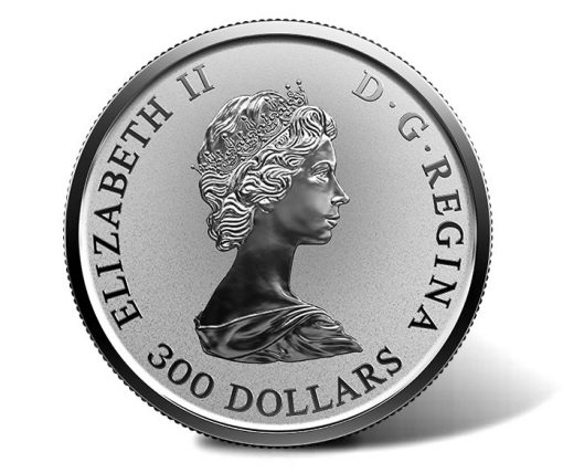 2018 $300 30th Anniversary Platinum Maple Leaf Coin - Obverse