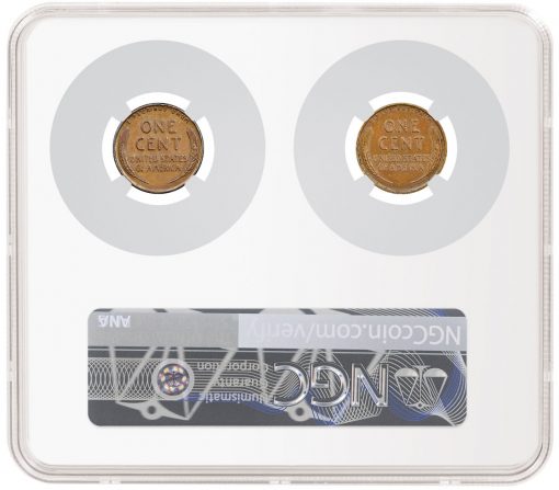 Lutes and Wing 1943 Bronze Lincoln Cents in NGC Holder (reverses)