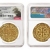 NGC-Certified, Phenomenal Spanish Gold Royal in Sedwick November Sale