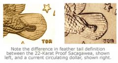 Sacagawea-Dollar-Tail-Variations.jpg