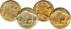 1916-DD-Buffalo-Nickel-and-1926-S-Buffalo-Nickel-Coins.jpg