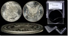Fake-Morgan-Dollar-in-Tampered-PCGS-Holder.jpg