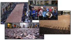 Penny-Harvest-Field-at-Rockefeller-Center.jpg