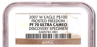 NGC Certifies Newly-Discovered American Platinum Eagle Variety 2007-W American Platinum Eagle $100 Variety