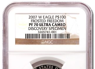 NGC Certifies Newly-Discovered American Platinum Eagle Variety 2007-W American Platinum Eagle $100 Variety