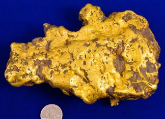 Gold Nugget Weighing 100 Ounces in Long Beach Coin Expo Holabird and Kagin 100-Ounce Gold Nugget