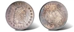 1795 Flowing Hair, Two Leaves dollar