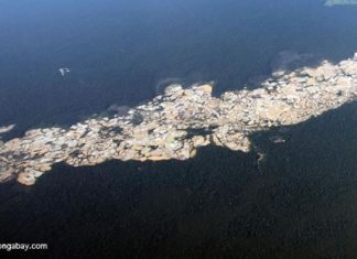 In The Lead – New Coke Peru rainforest and gold mining area
