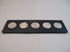 American Silver Eagle 25th Anniversary Set - 5 Coins