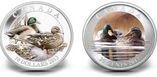 2013 Canadian Mallard Coins Celebrate DUC Anniversary 2013 Canadian Mallard Coins