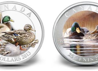 2013 Canadian Mallard Coins Celebrate DUC Anniversary 2013 Canadian Mallard Coins