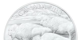 Canadian 2013 $100 Bison Silver Coin for $100 Canadian 2013 $100 Bison Silver Coin