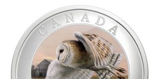 2013 Barn Owl Coin 12th in Birds of Canada Series