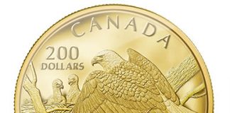 Canadian 2014 Bald Eagle Coins in Gold and Silver 2013 $200 Bald Eagle Protecting Her Nest Gold Coin