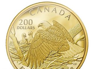 Canadian 2014 Bald Eagle Coins in Gold and Silver 2013 $200 Bald Eagle Protecting Her Nest Gold Coin