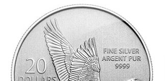 2014 $20 Canada Goose Silver Coin for $20 2014 $20 Canada Goose Silver Coin
