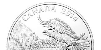 Canadian 2014 $100 Bald Eagle Silver Coin for $100 Canadian 2014 $100 Bald Eagle Silver Coin