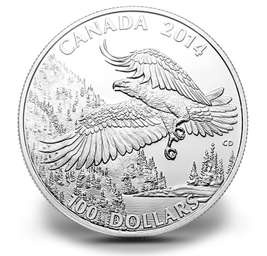 Canadian 2014 $100 Bald Eagle Silver Coin