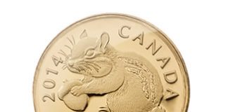 2014 25c Canadian Chipmunk Gold Coin at 0.5 Grams 2014 25c Canadian Chipmunk Gold Coin