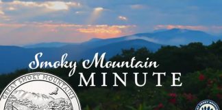 Great Smoky Mountains Quarter Unveiled in Unique Video Smoky Mountains Scene and Quarter