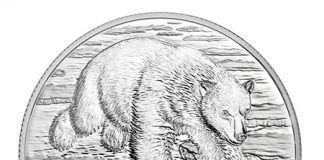 Canadian 2014 $50 Polar Bear Silver Coin for $50 Canadian 2014 $50 Polar Bear Silver Coin