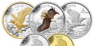 2014 Bald Eagle Series Features 5 Canadian Coins 2014 Bald Eagle Canadian Coins