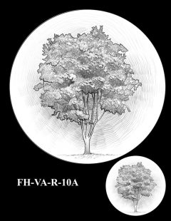 Fallen Heroes Pentagon Memorial Medal Design Candidate FH-VA-R-10A