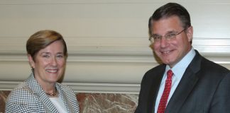 Mary Lannin Appointed to CCAC, Marks and Wastweet Reappointed Mary N. Lannin and Richard Peterson