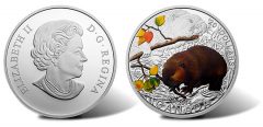 2014 Baby Beaver Coin