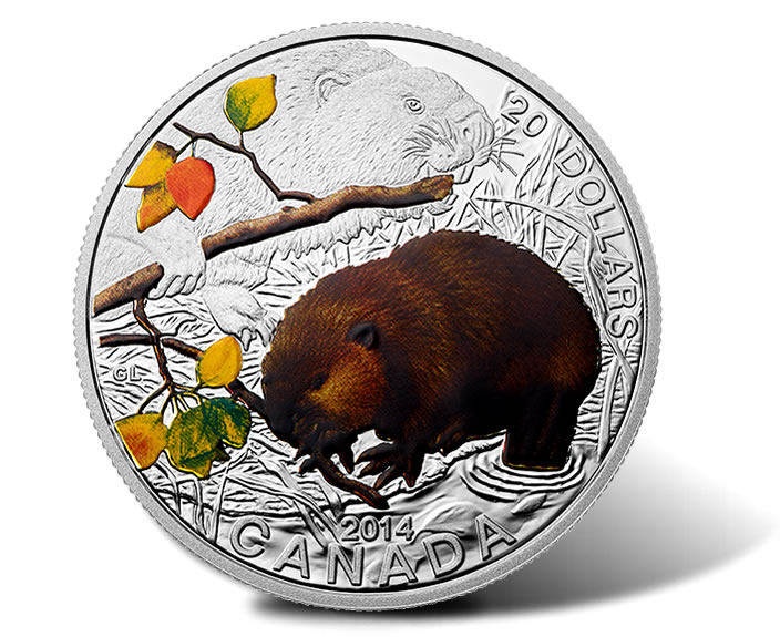 beaver coin cryptocurrency