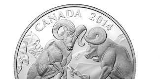 Canadian 2014 $100 Bighorn Sheep Silver Coin for $100 Canadian 2014 $100 Bighorn Sheep Silver Coin