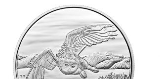 Canadian 2014 $50 Snowy Owl Silver Coin for $50 Canadian 2014 $50 Snowy Owl Silver Coin