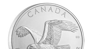 2014 $5 Canadian Bald Eagle Silver Bullion Coin Launches 2014 $5 Canadian Bald Eagle Silver Bullion Coin