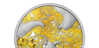 2014 Autumn Allure Coin Ends Canadian Maple Canopy Series 2014 Autumn Allure Silver Coin from Canadian Maple Canopy Series