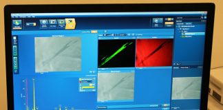 Assaying Gold at the West Point Mint Data output from the SEM and EDS