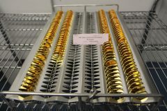 Gold, burnished planchets