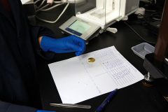 Gold planchet, cut