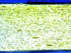 Magnified cross section of Kennedy gold planchet