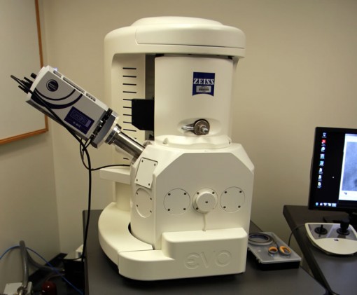 Scanning Electron Microscope (SEM) with Elemental Detection System (EDS)