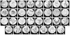 2015 and 2016 Proof American Platinum Eagle Design Candidates