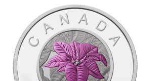 Canadian 2014 $5 Poinsettia Silver Coin with Niobium Coloring Canadian 2014 $5 Poinsettia Silver Coin with Niobium Coloring