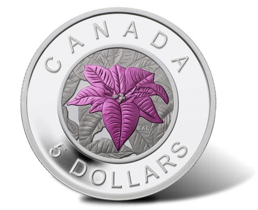 Canadian 2014 $5 Poinsettia Silver Coin with Niobium Coloring