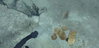 Odyssey Reveals Latest SS Central America Shipwreck Haul Odyssey photo of coins and nuggets