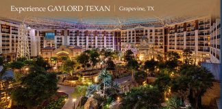 PNG Sponsored 2015 Dallas Coin & Paper Money Show in February Gaylord Texan