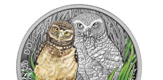 2015 Baby Burrowing Owl Coin 3rd in Canadian Baby Animal Series 2015 $20 Baby Burrowing Owl 1 oz Fine Silver Coin