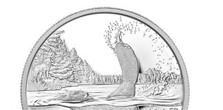 Canadian 2015 $50 Beaver Silver Coin for $50 Canadian 2015 $50 Beaver Silver Coin