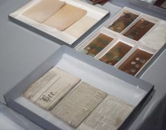 Contents of a time capsule