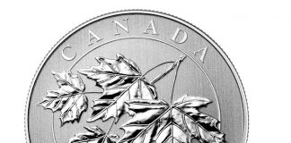 2015 Silver Maple Leaves Coin Under $30 2015 $10 Silver Maple Leaves Coin